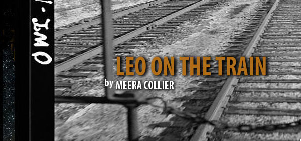 Leo on the Train by Meera Collier